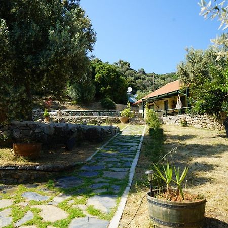 Elpida Country House -Paleochora-Anidri Екстериор снимка